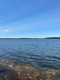 Shoreline full of weeds and garbage