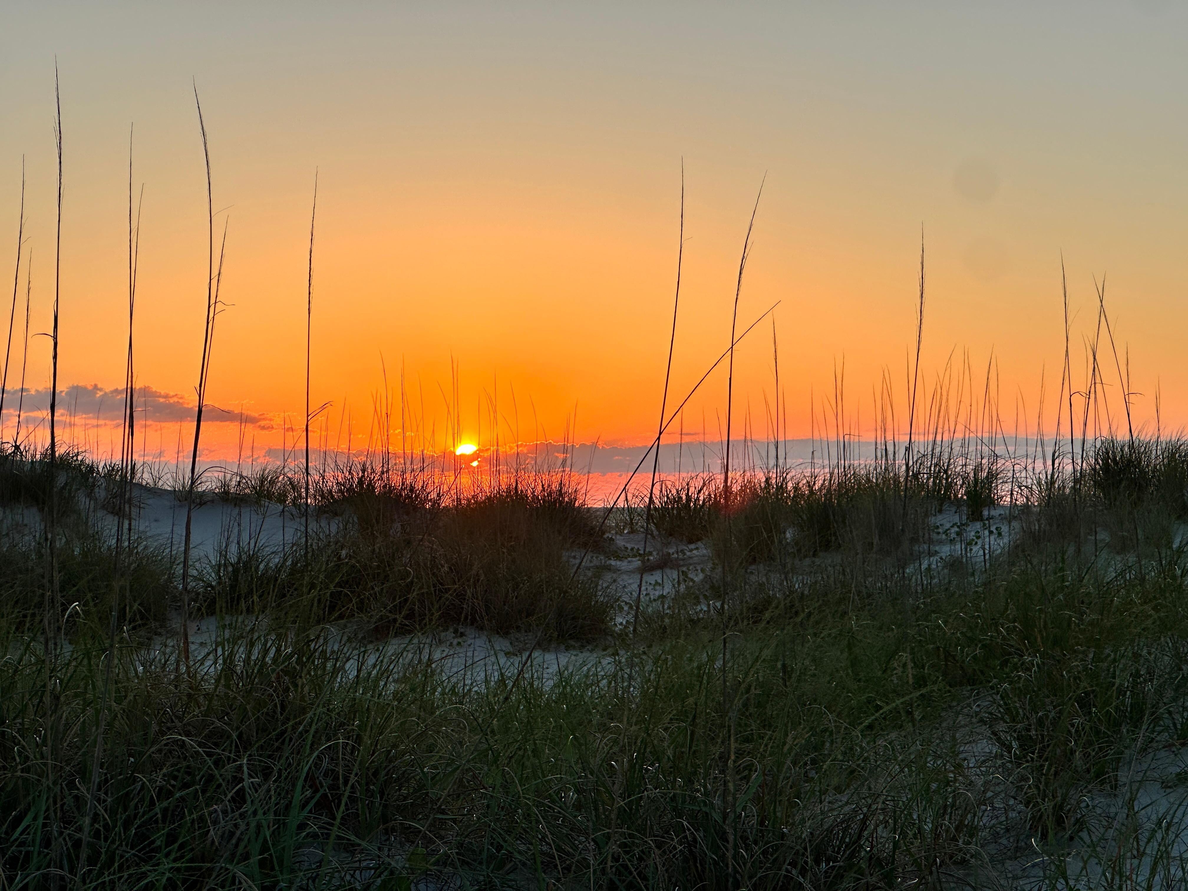 Sunrise 