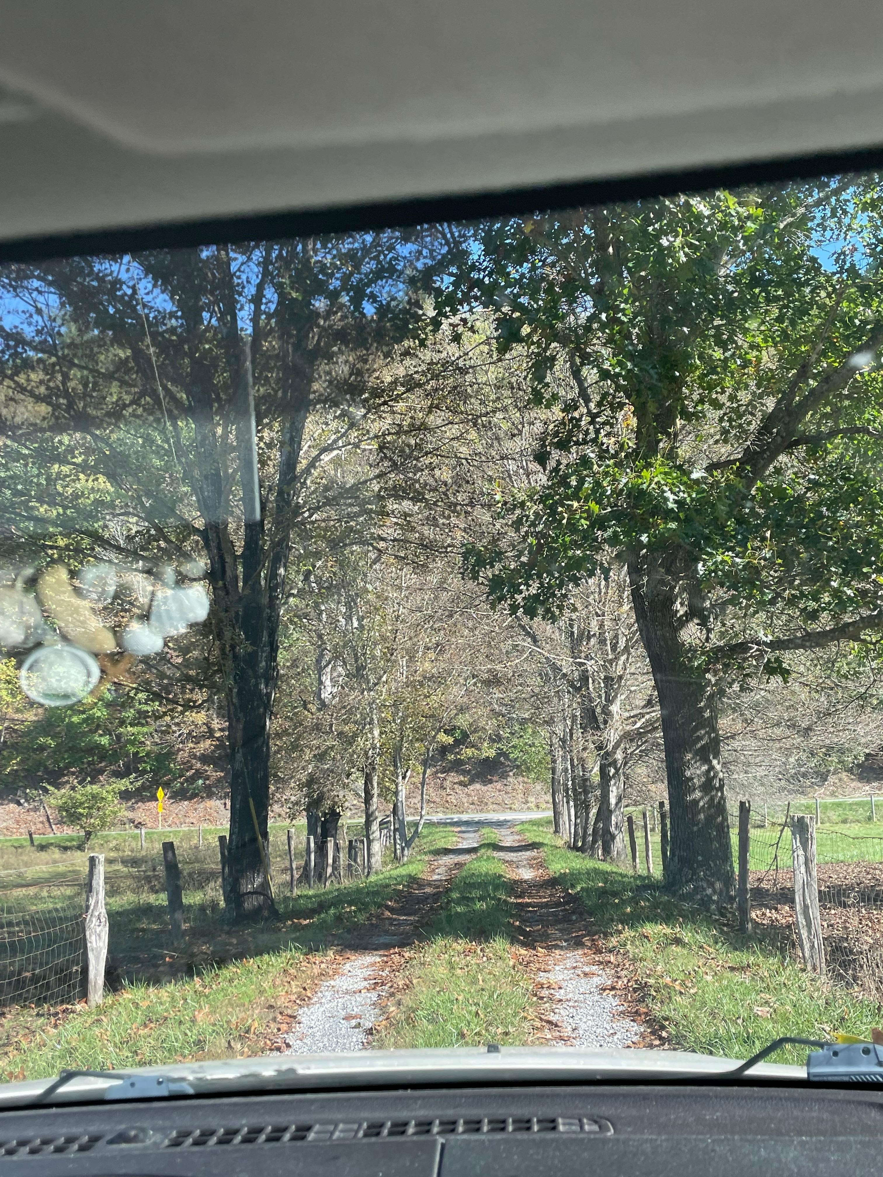 Beautiful entrance to the cabin in the woods