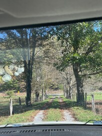 Beautiful entrance to the cabin in the woods