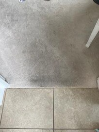 Nasty dirty carpet in the main bedroom.