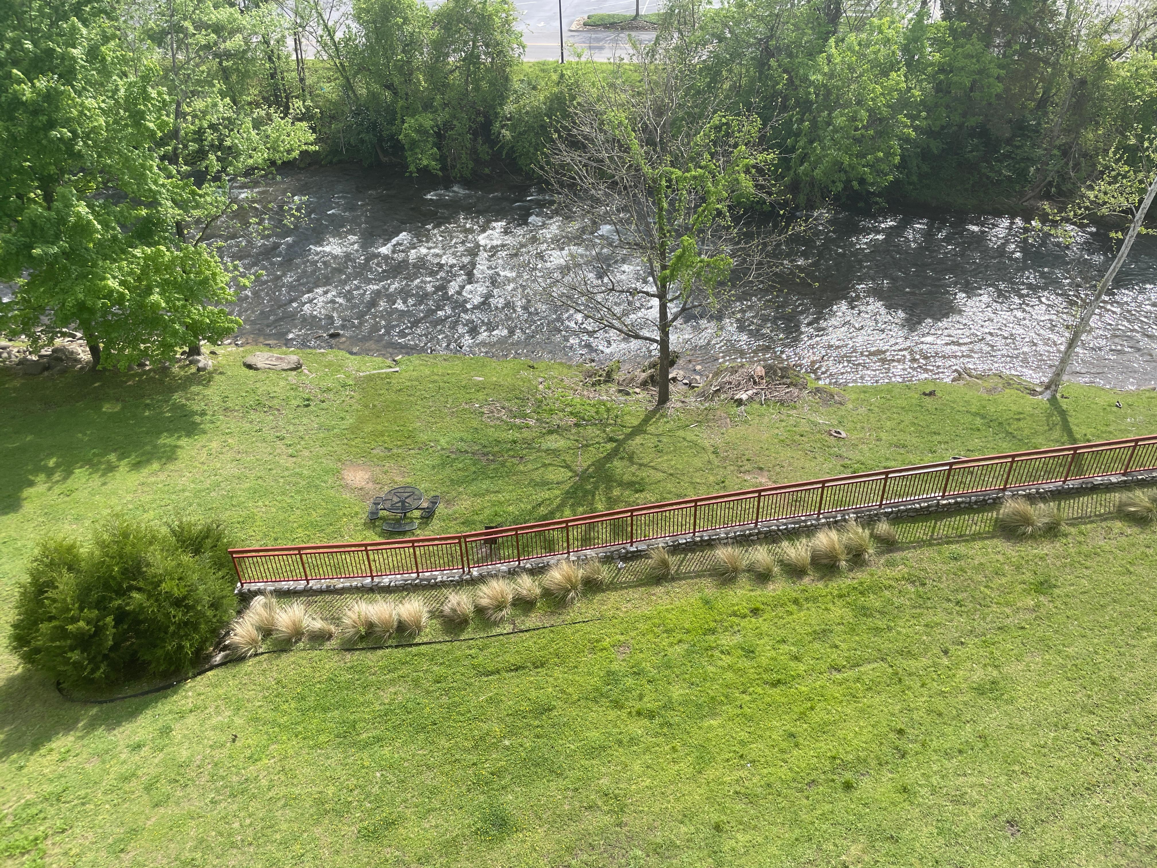 View from the balcony… lots of ducks and geese sightings 