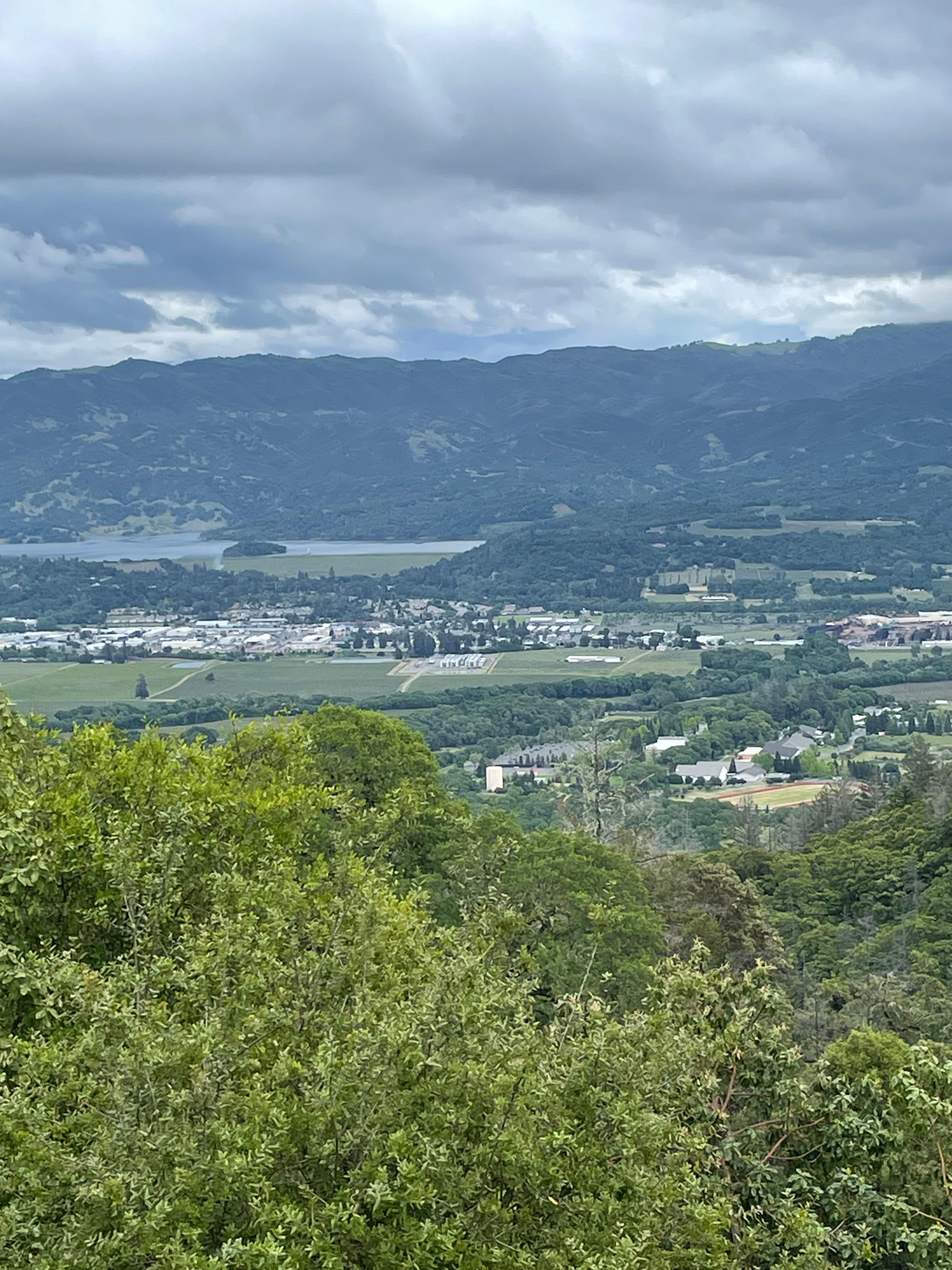 View from the cabin