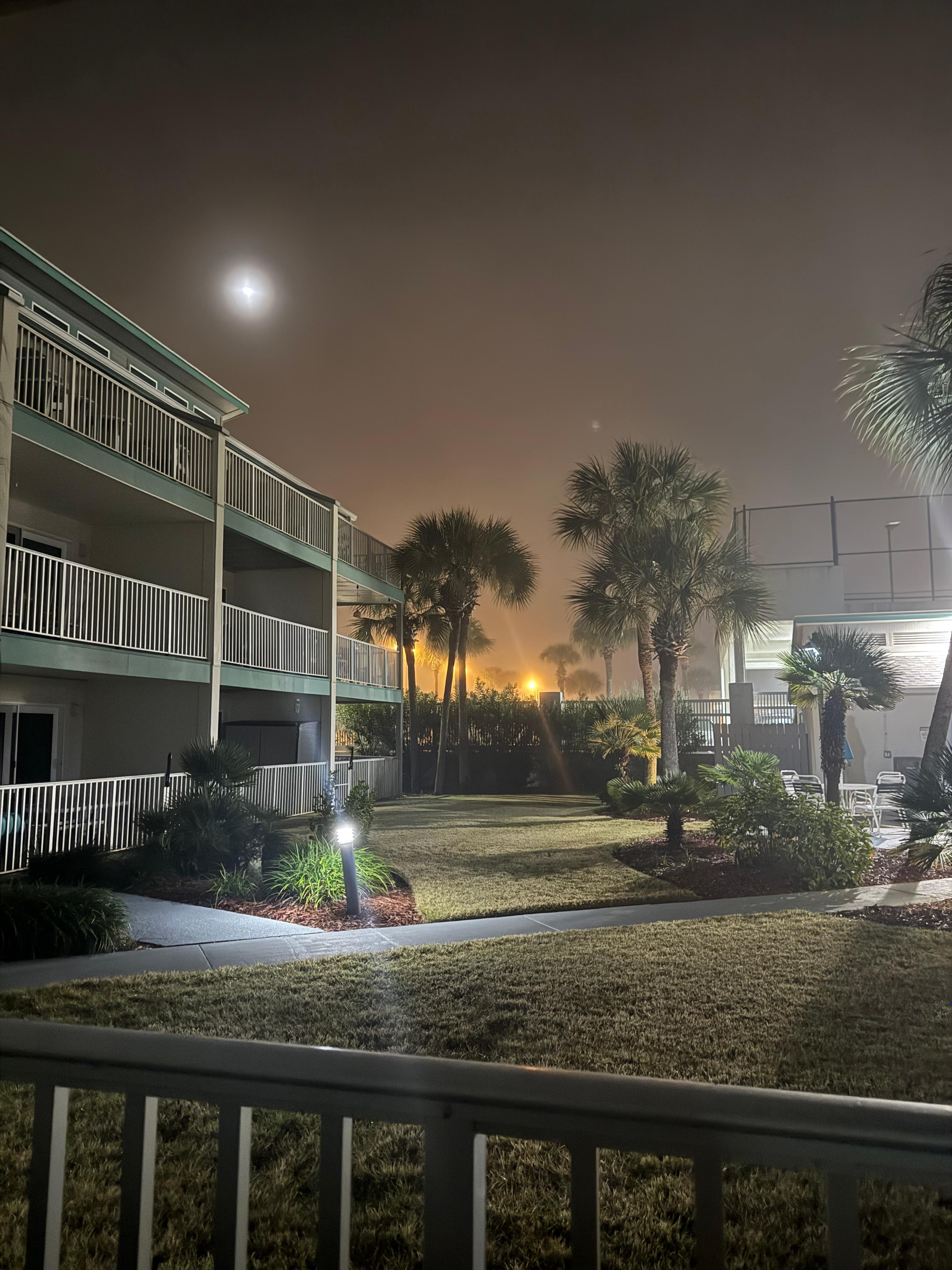 View from the veranda. 