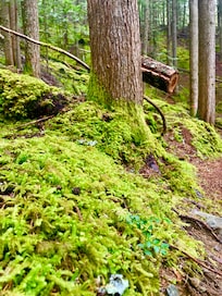 Hike above cabin