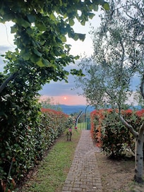 Coucher de soleil