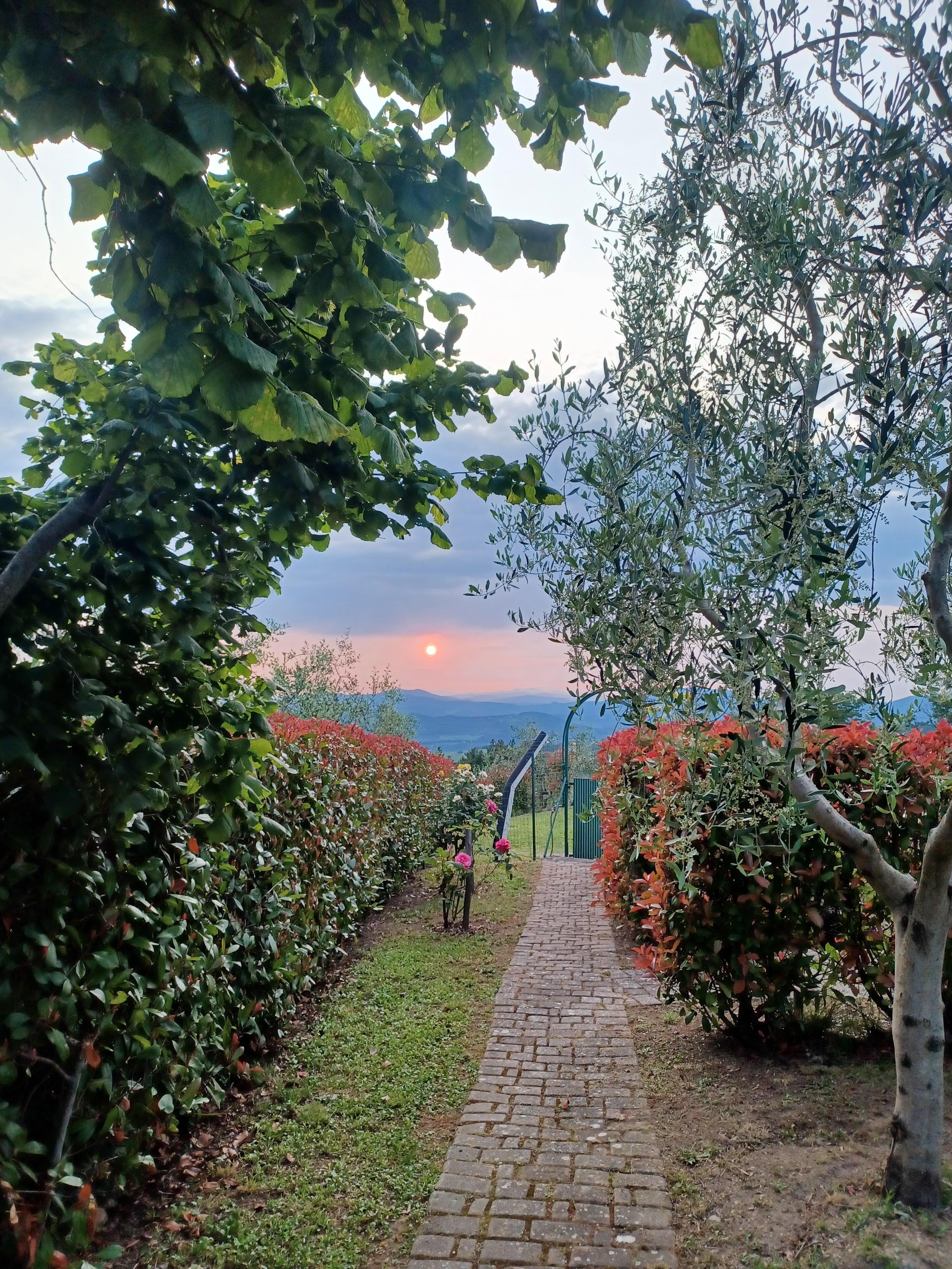Coucher de soleil