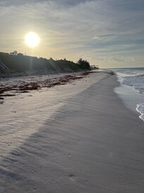 View of beach