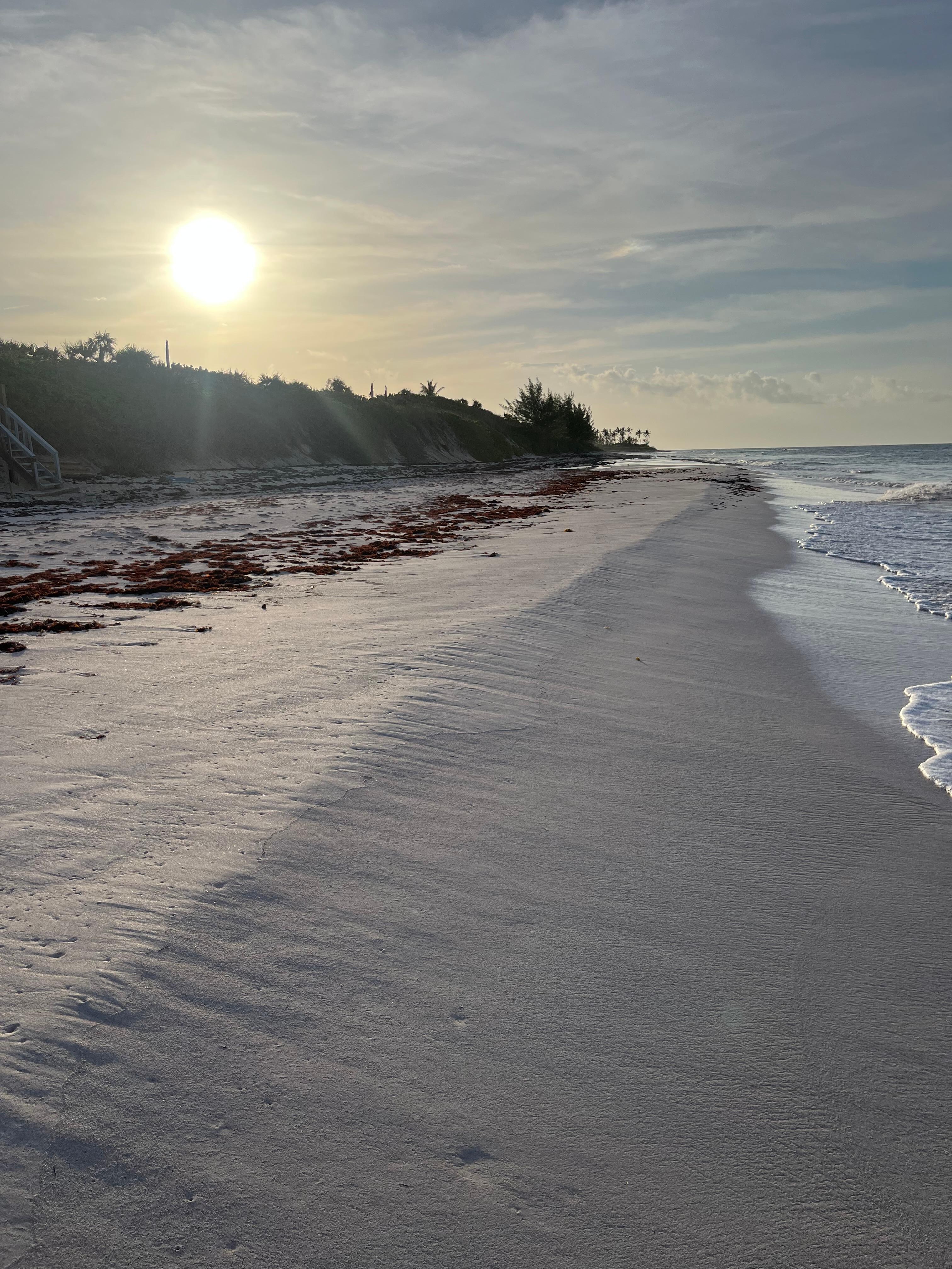 View of beach