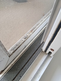 Needs a deep cleaning thru out