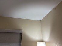 Ladybugs enjoying the light