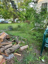 Woodpile