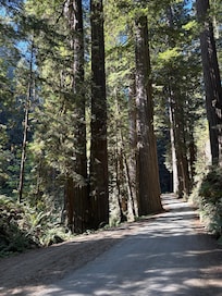 Howland Hill Road