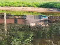 Family of ducks kept us company