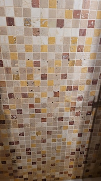 mold