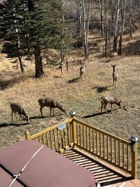 Picture from the deck