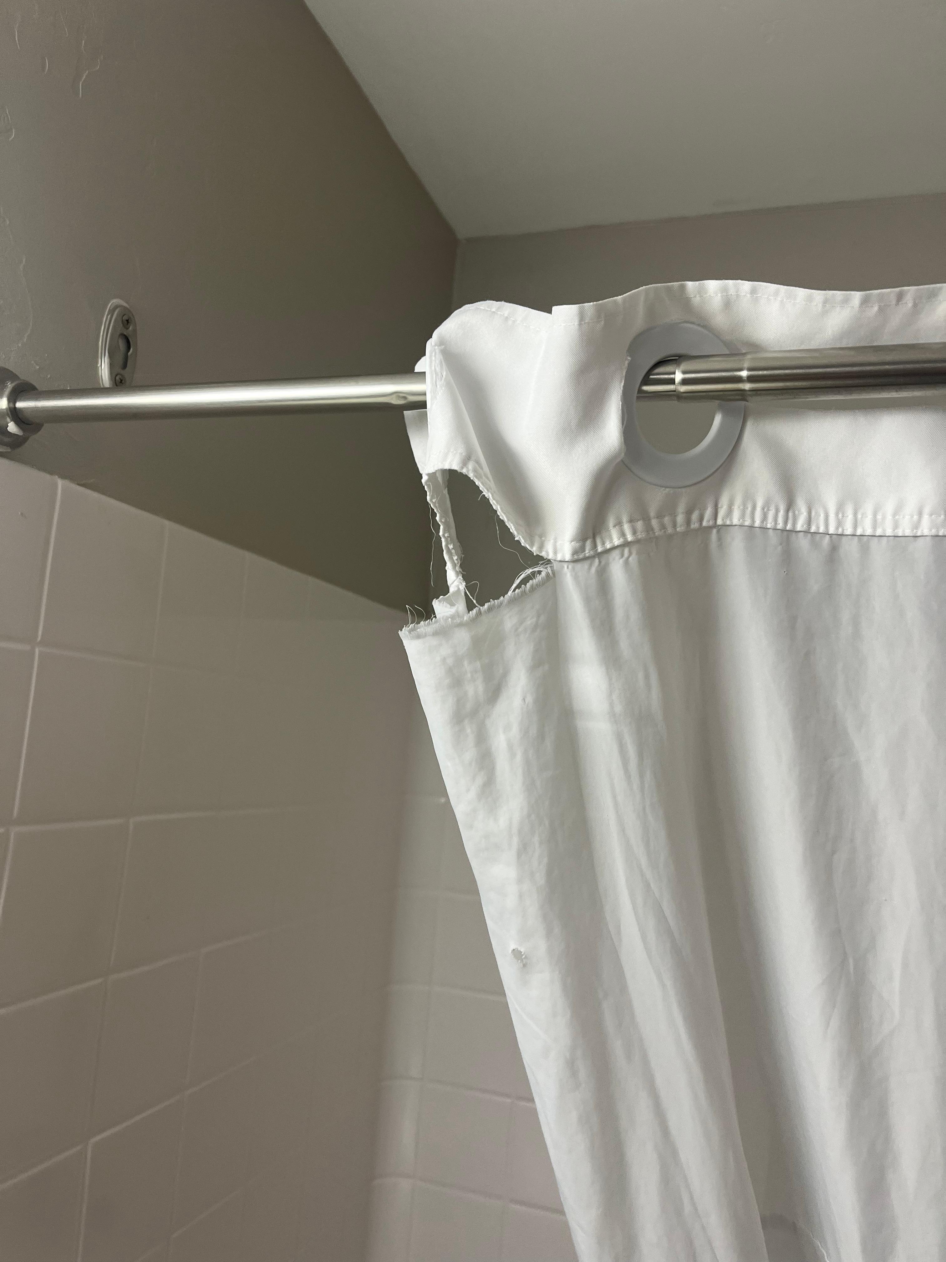 Shower curtain, torn not a big deal, but it needs to be replaced