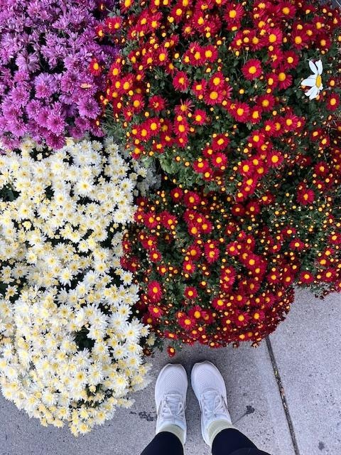 All the fall colors in October.