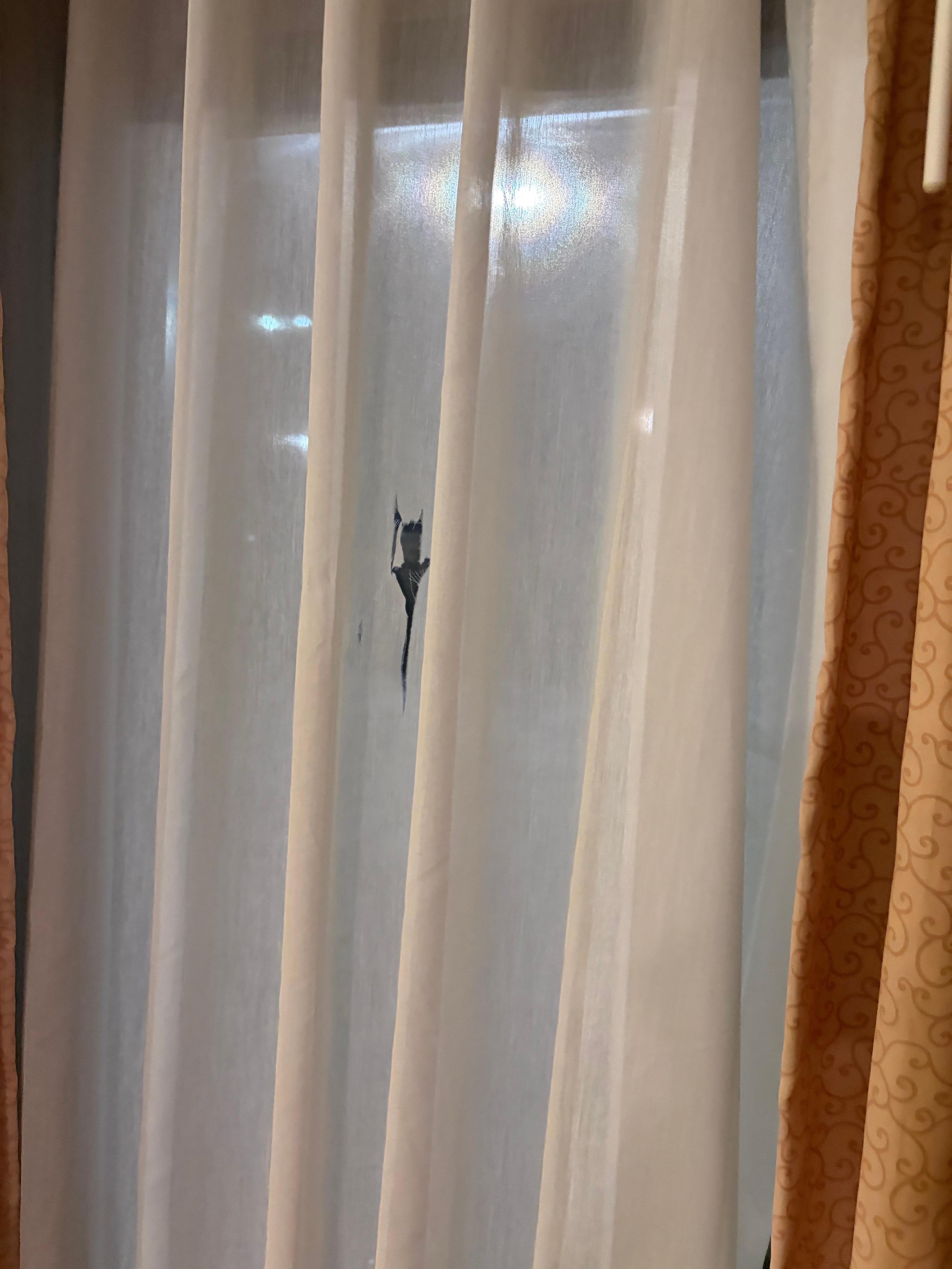 Holes in curtain so old if touch them fall apart to close them