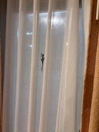 Holes in curtain so old if touch them fall apart to close them