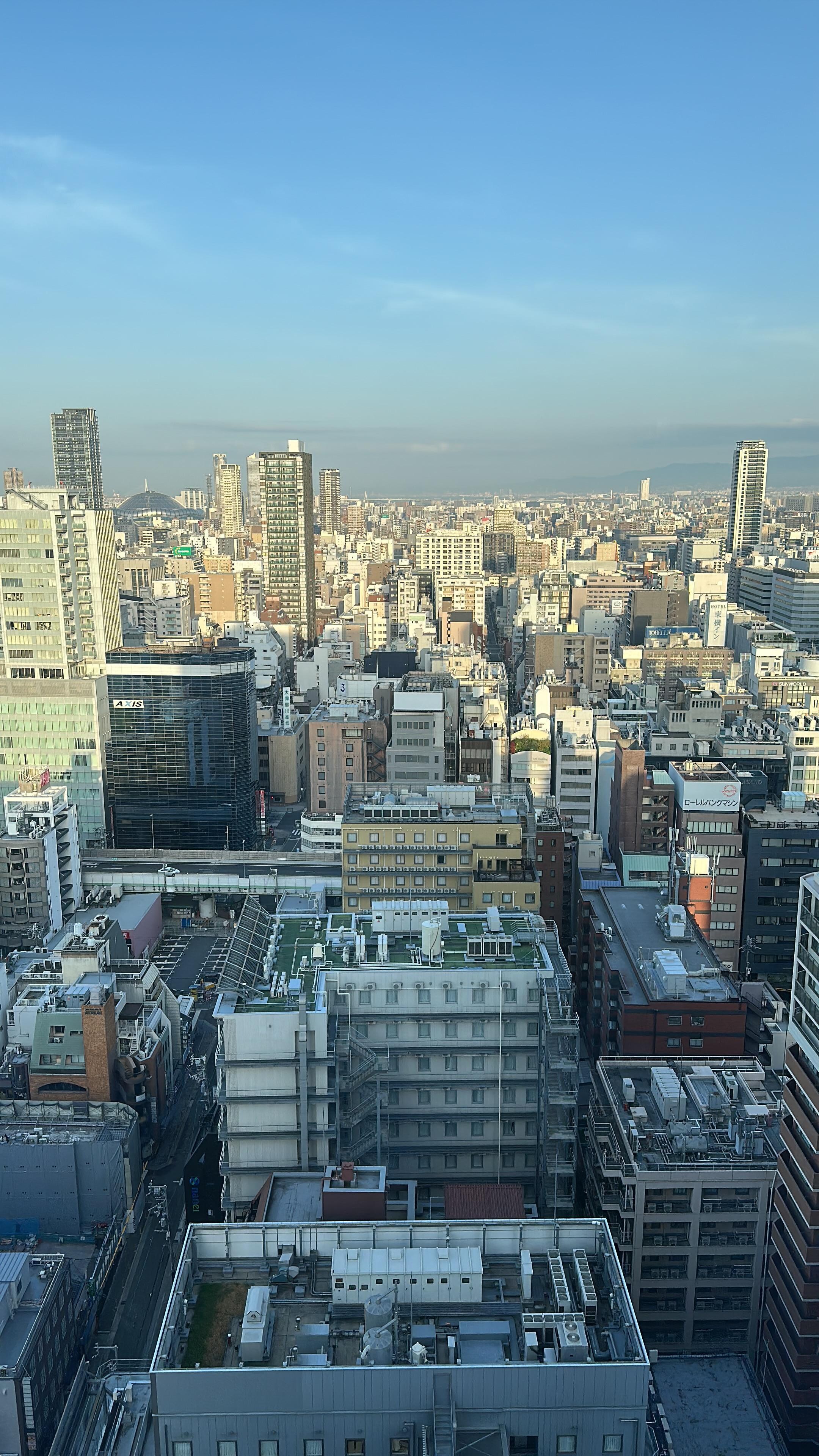 The view from the room
