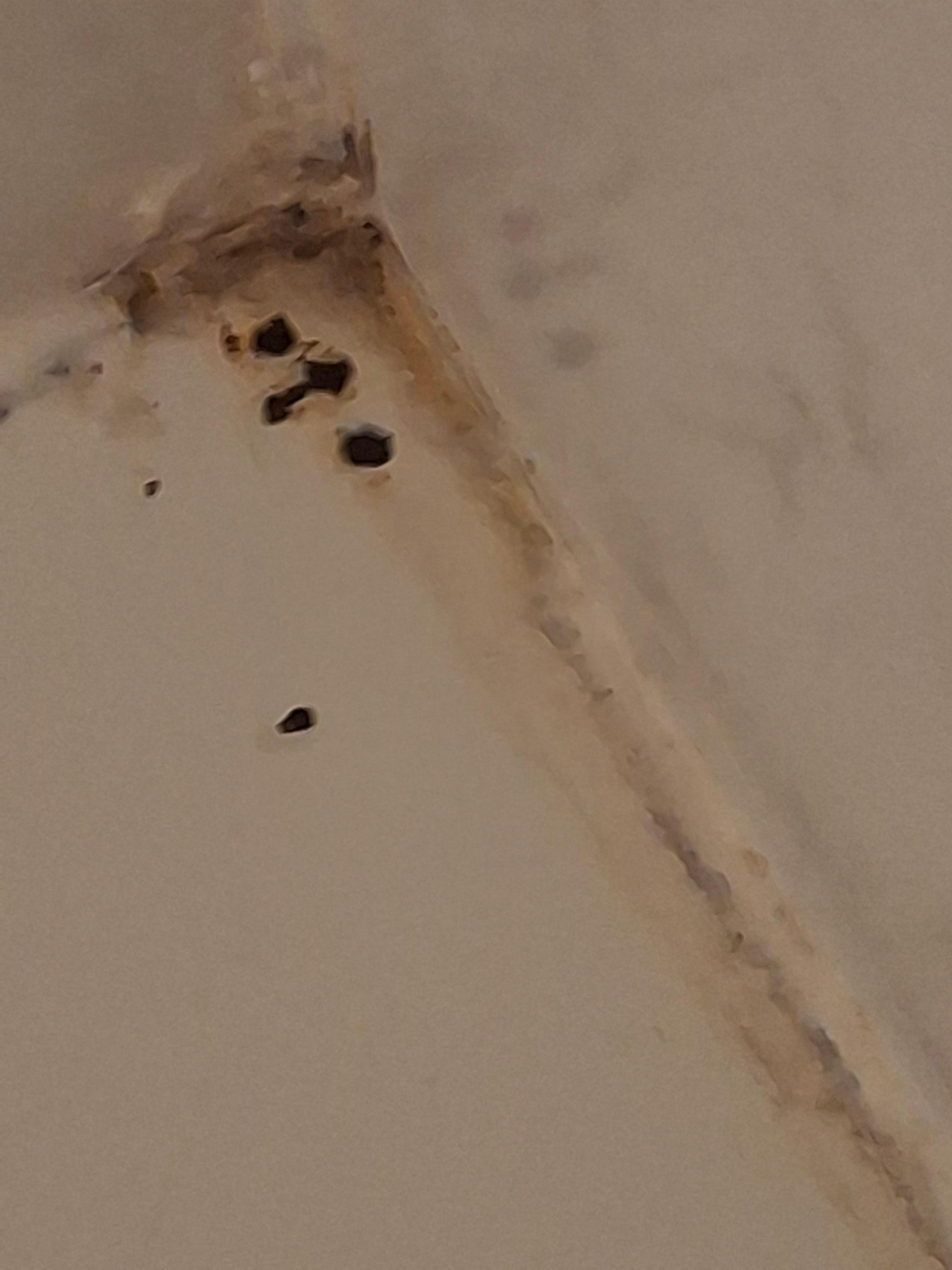 Mold and bugs in shower 