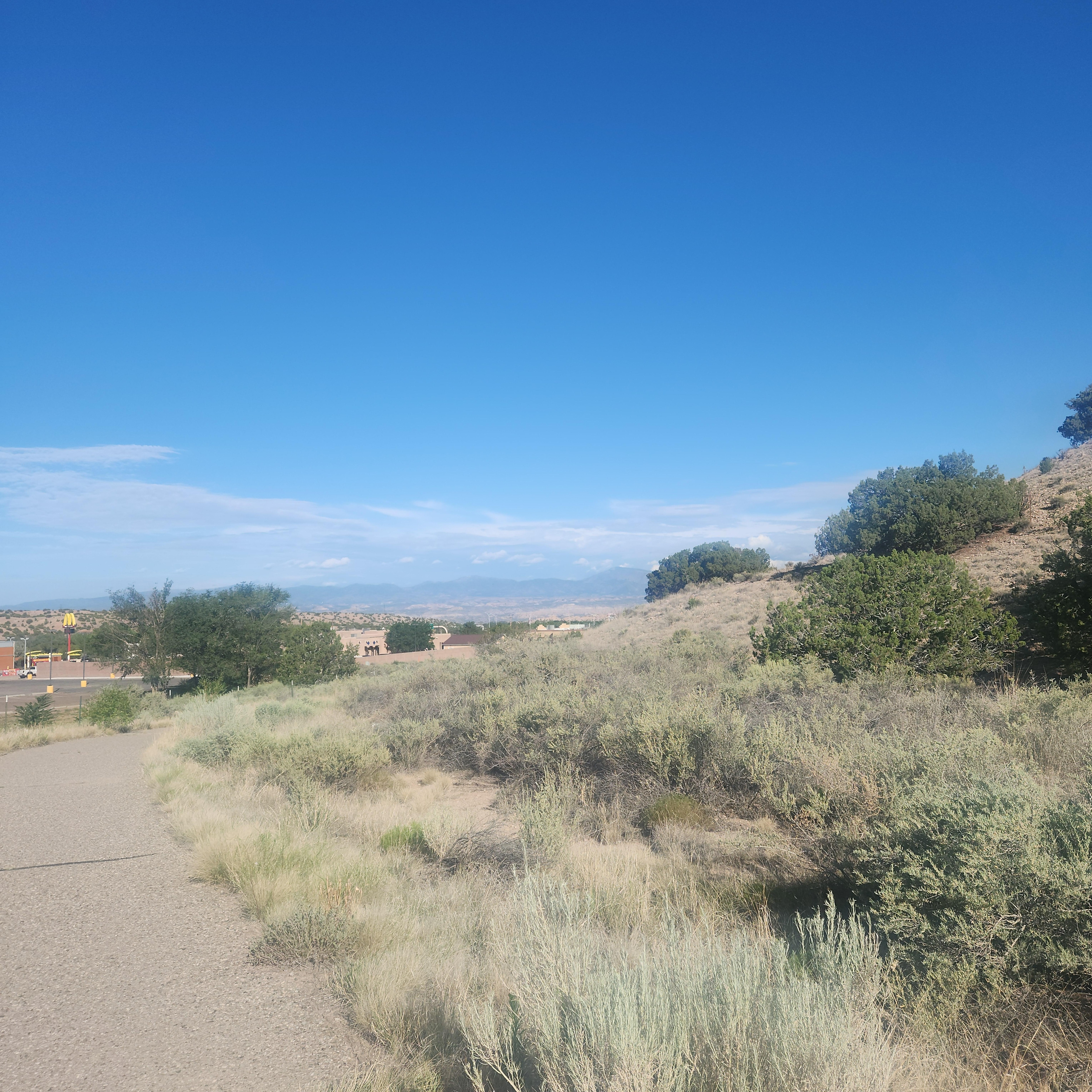 Scene from hiking path