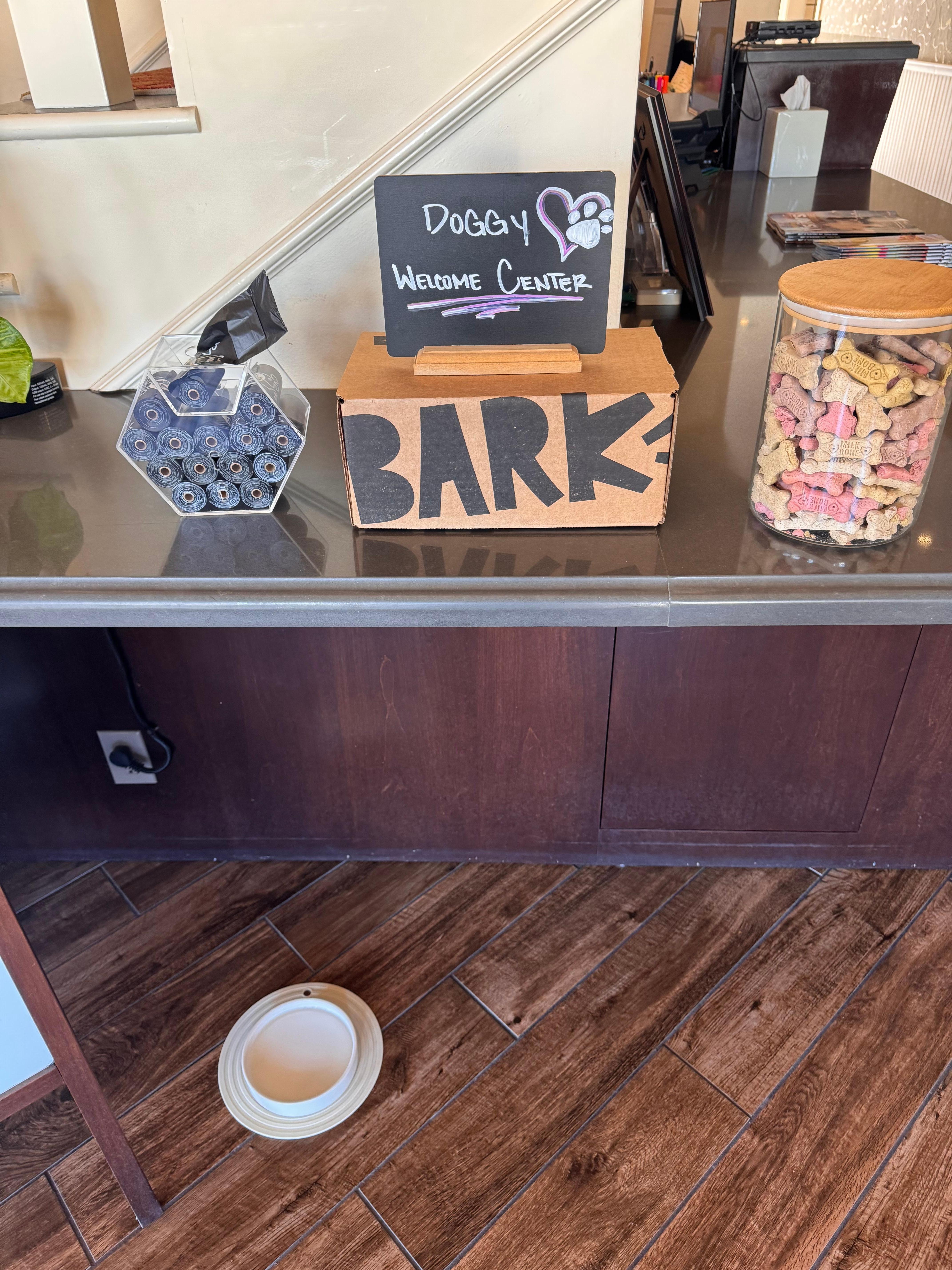 Even the dogs were welcome!