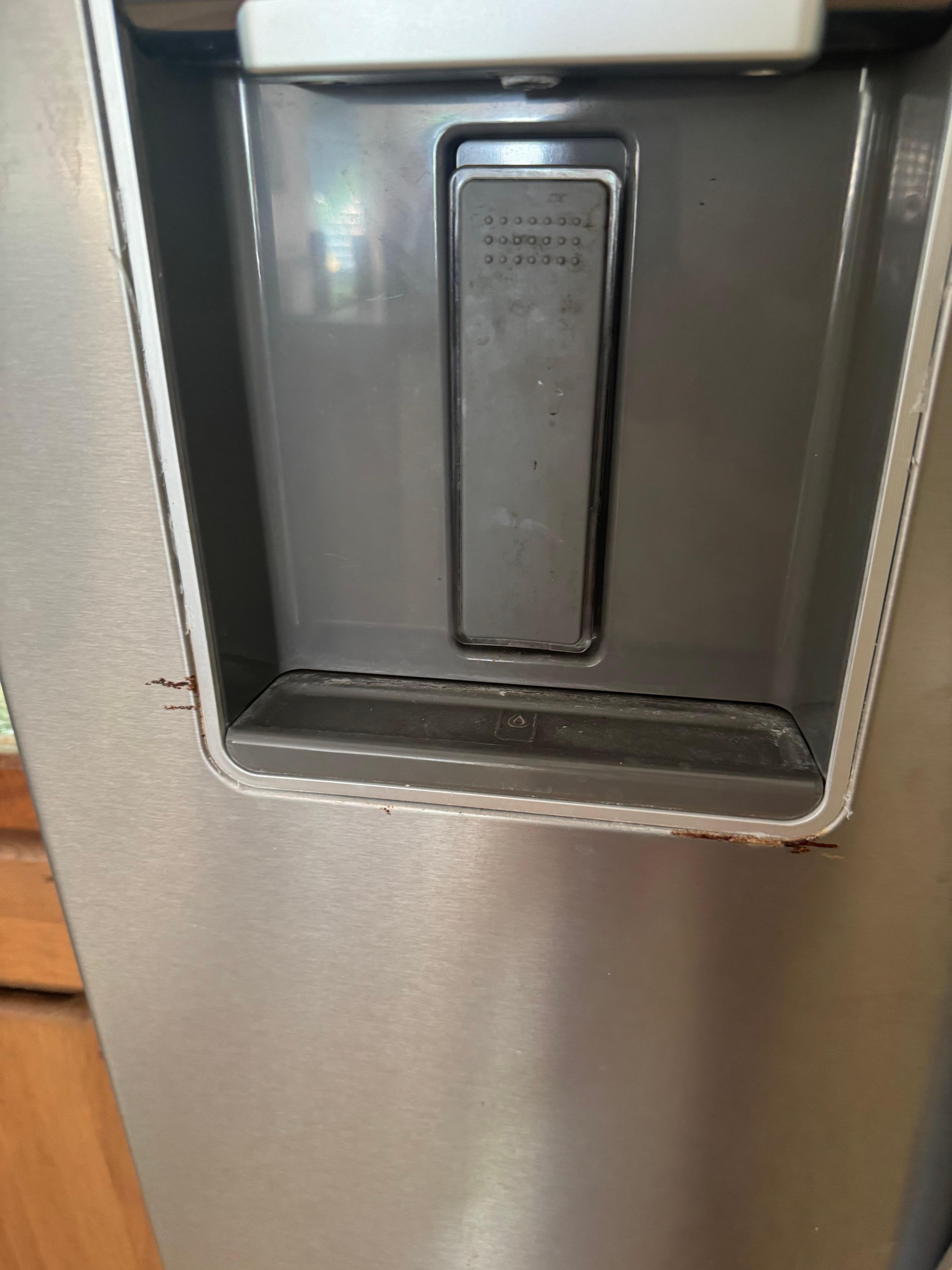 Mold in water dispenser