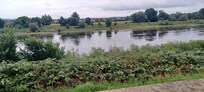 Elbe river flowing by.