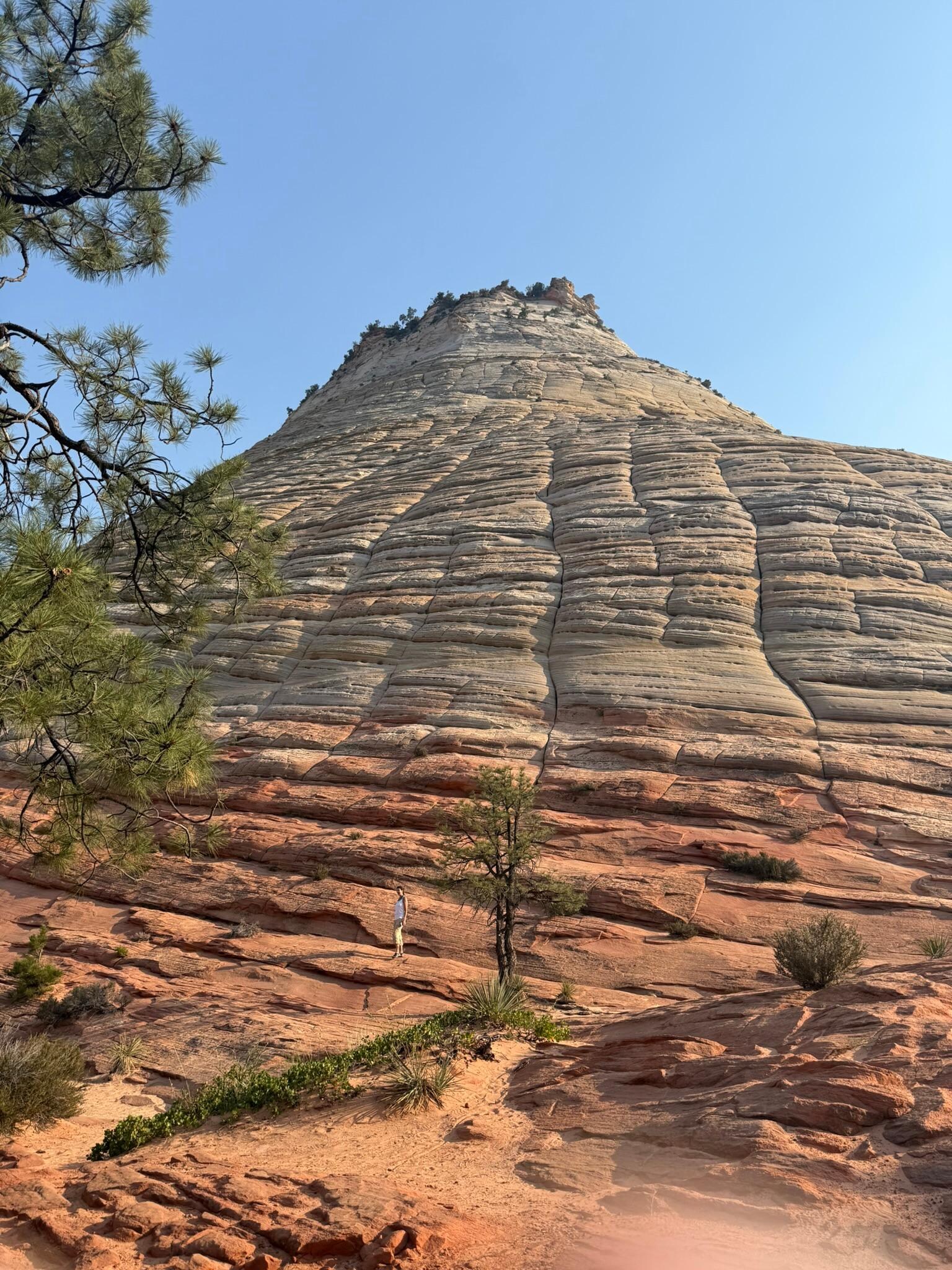 Zion Checkerboard Mesa