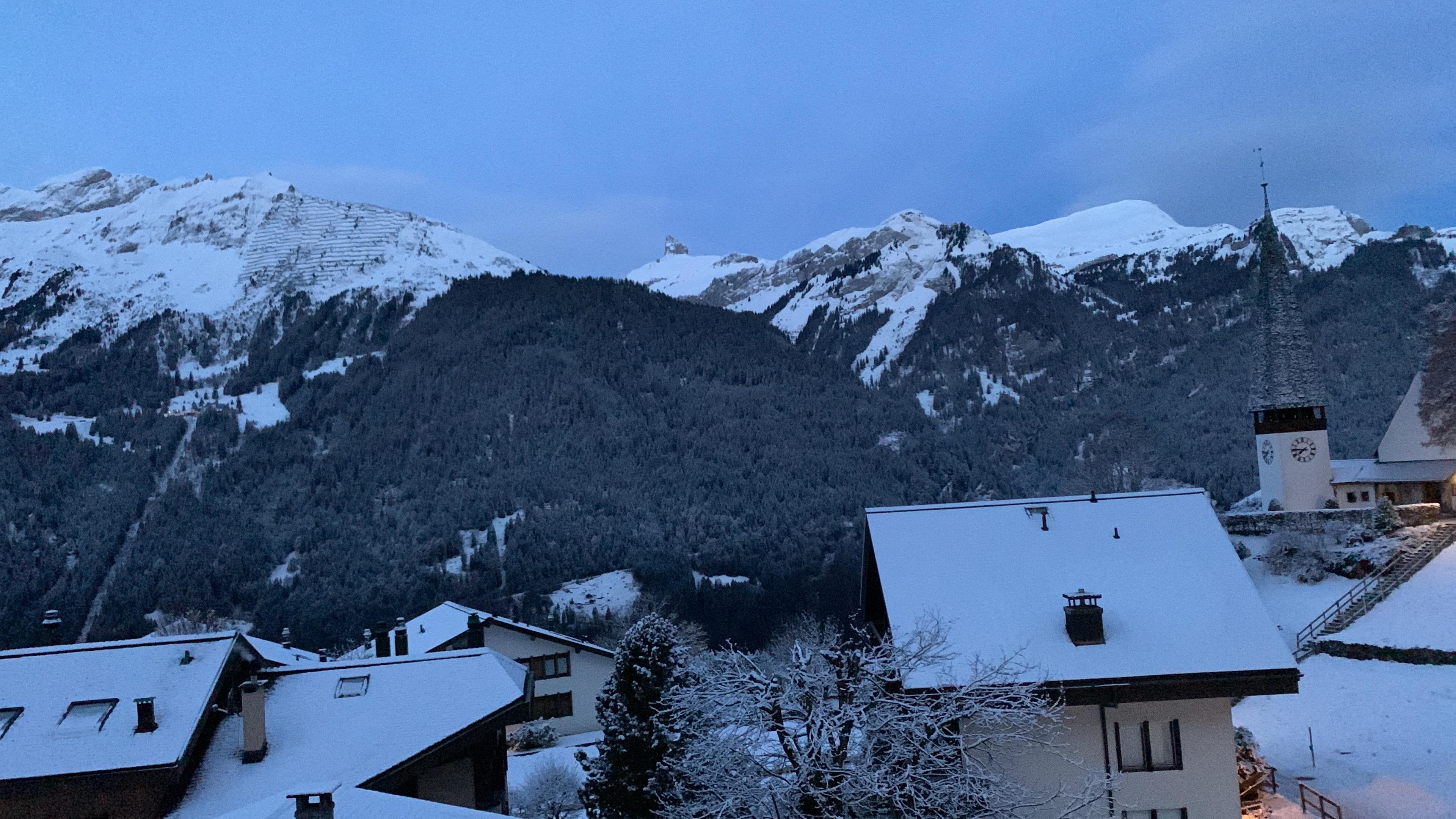 view from the room