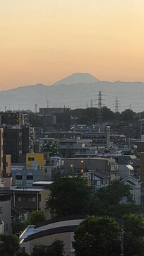 お部屋から富士山が見えました!