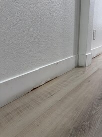 Baseboards in bad shape.