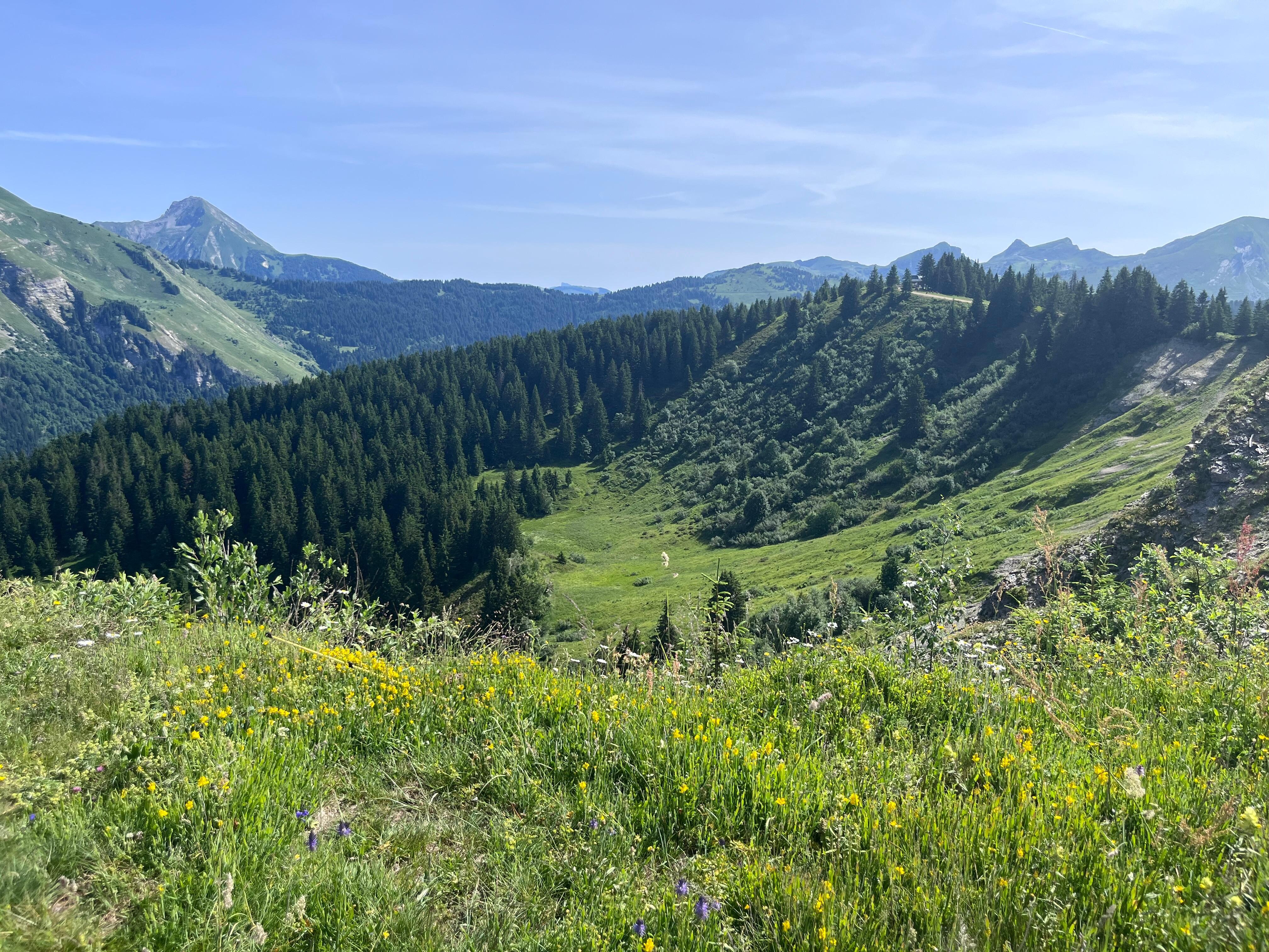 Hiking from the gondola 