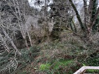 View from master bedroom deck