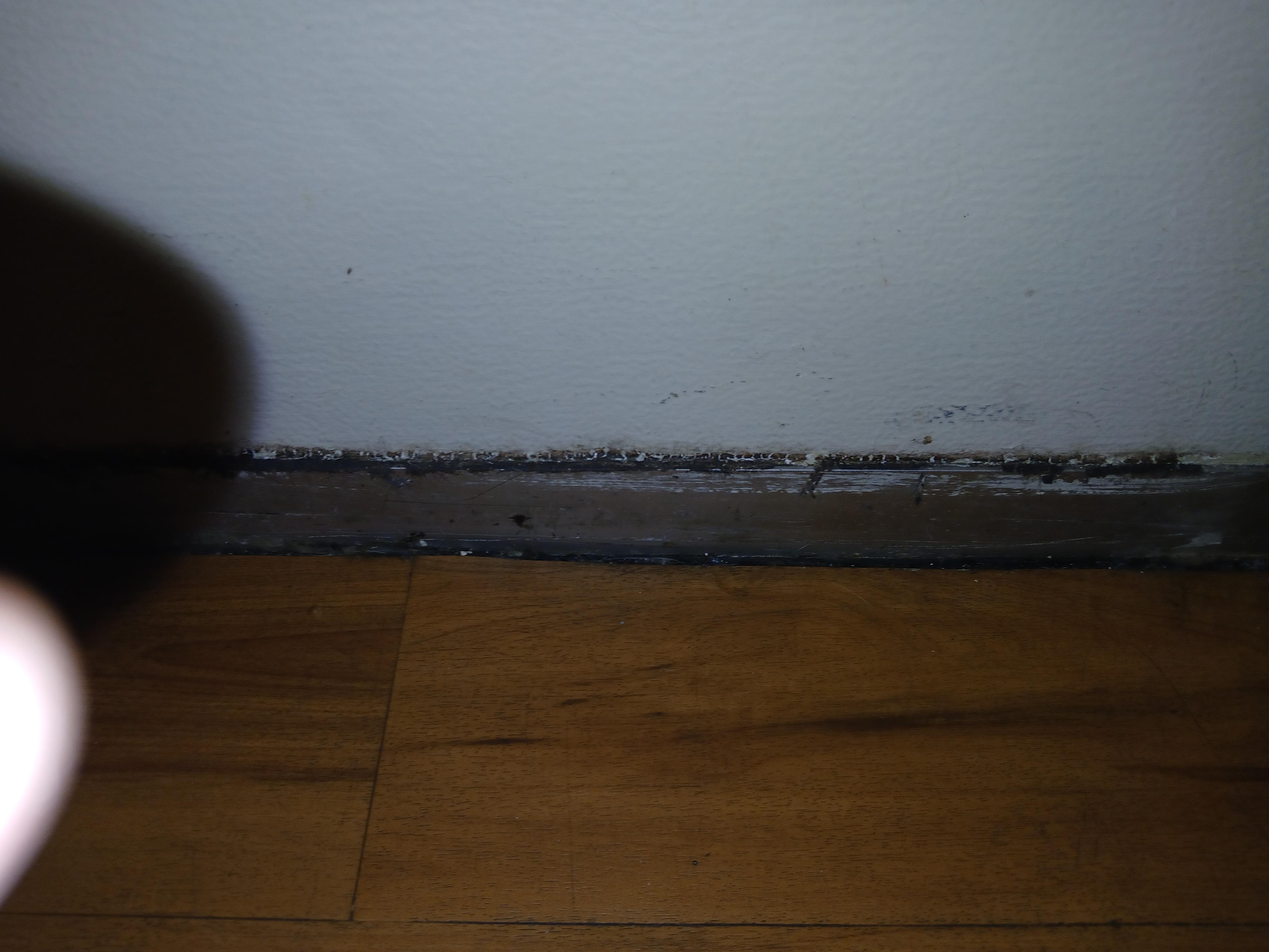 The extremely poor condition of the kitchenette area