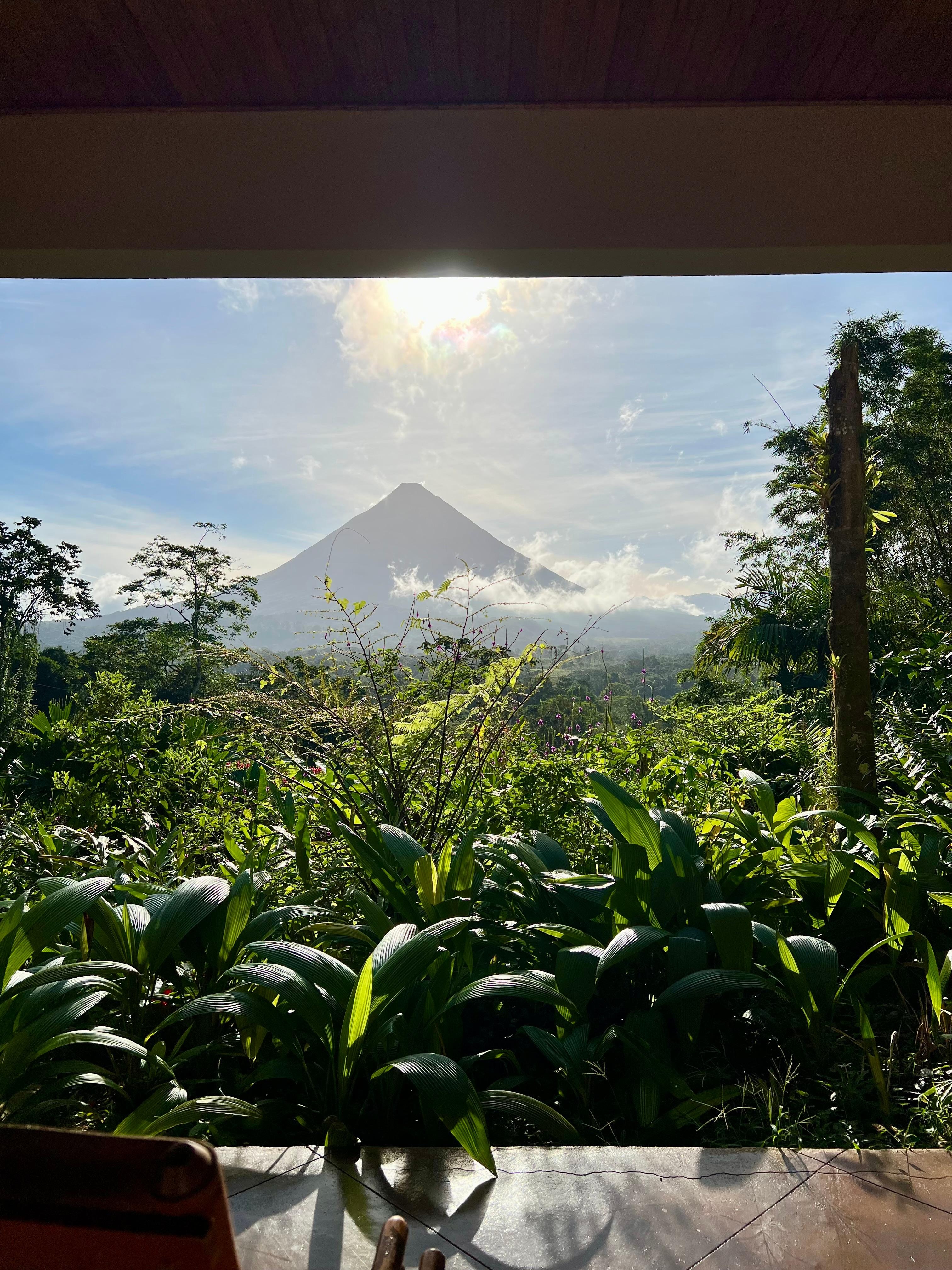 View from room (standard)