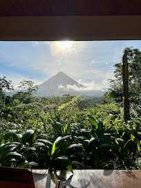 View from room (standard)