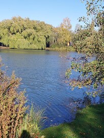 All around great for fishing if you want to do