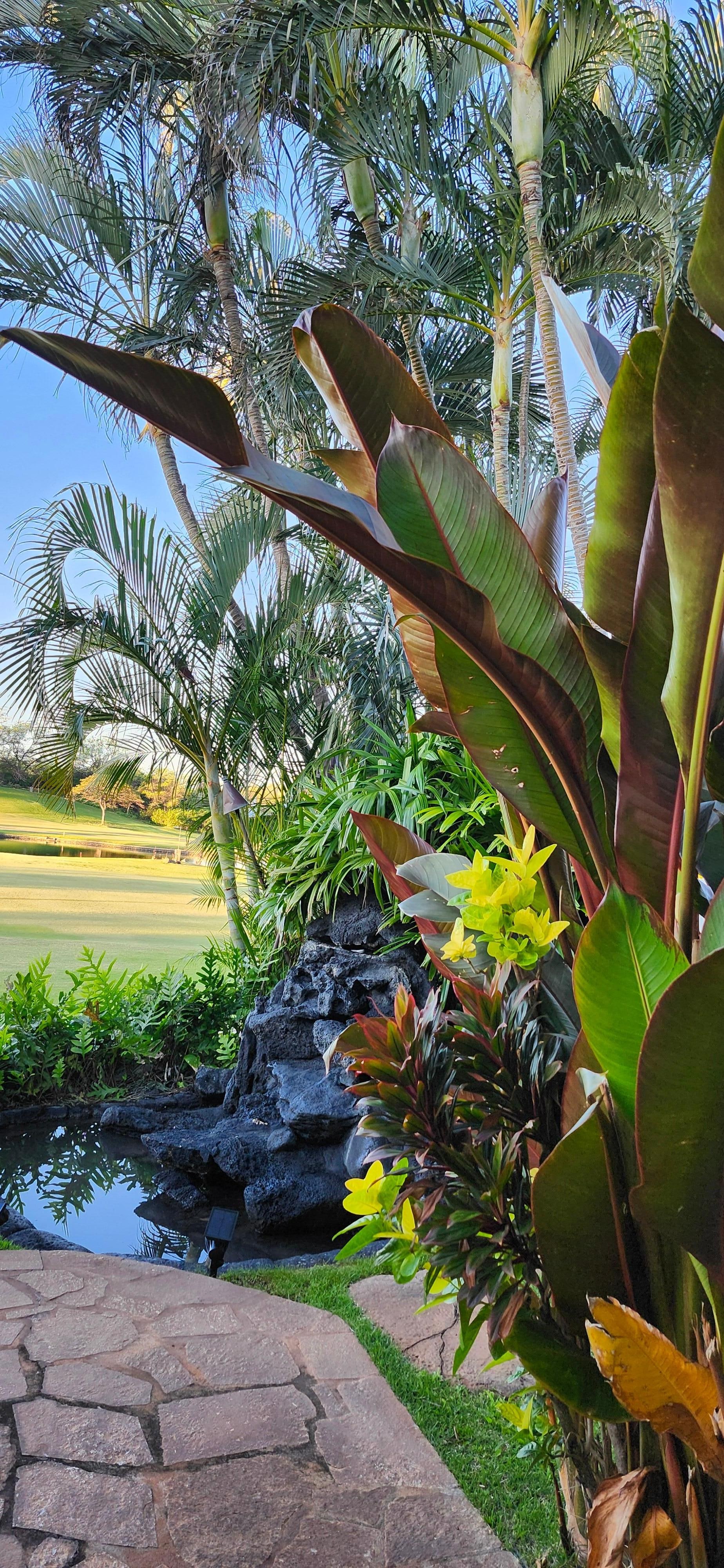 View of the golf course and waterfall from the condo