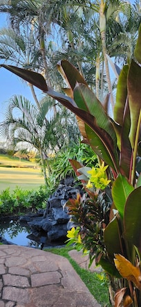 View of the golf course and waterfall from the condo