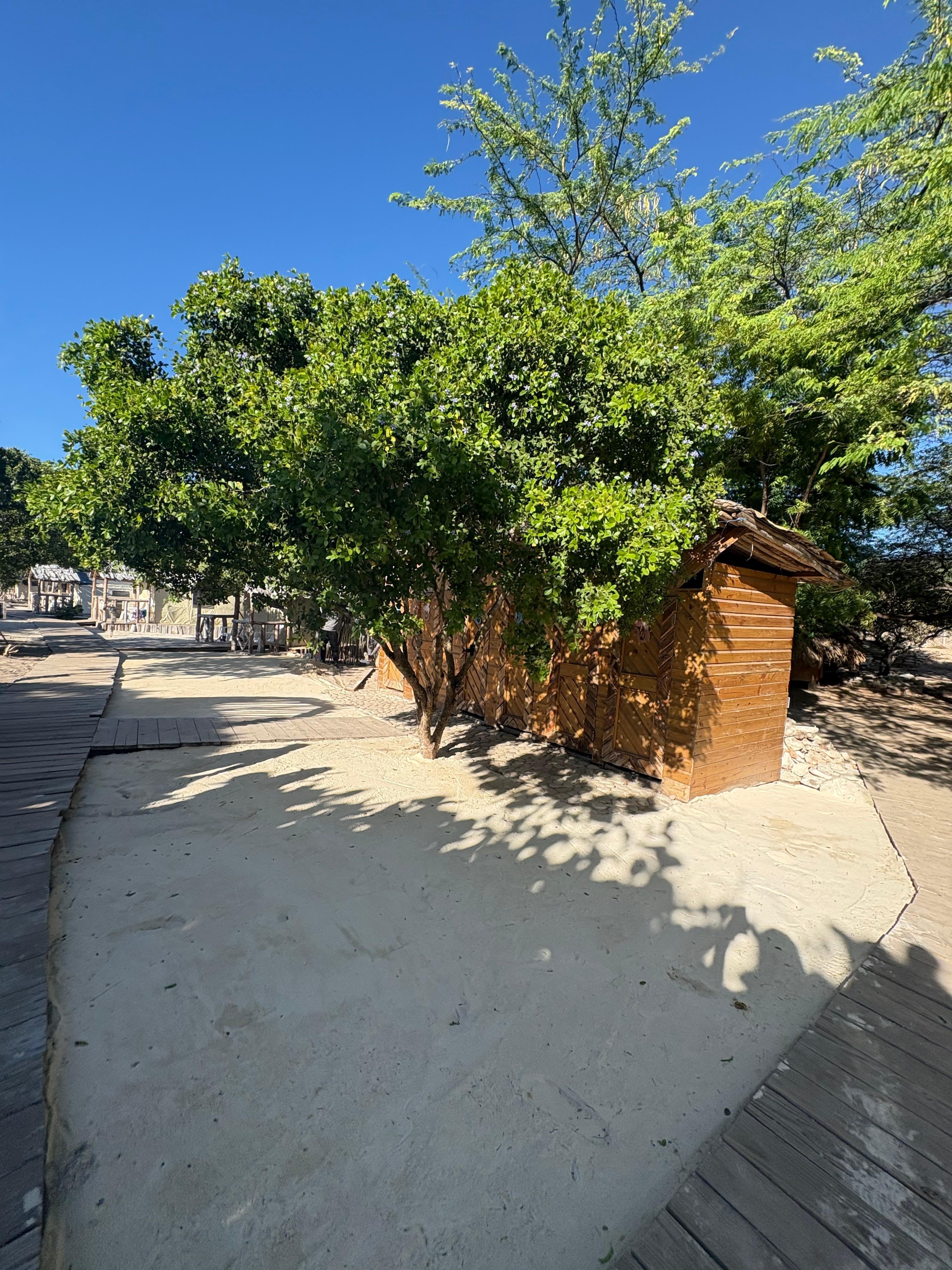 Ecological bathrooms 