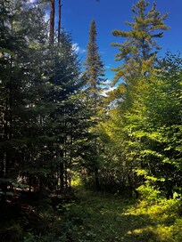 Very close to Mont tremblant National park.