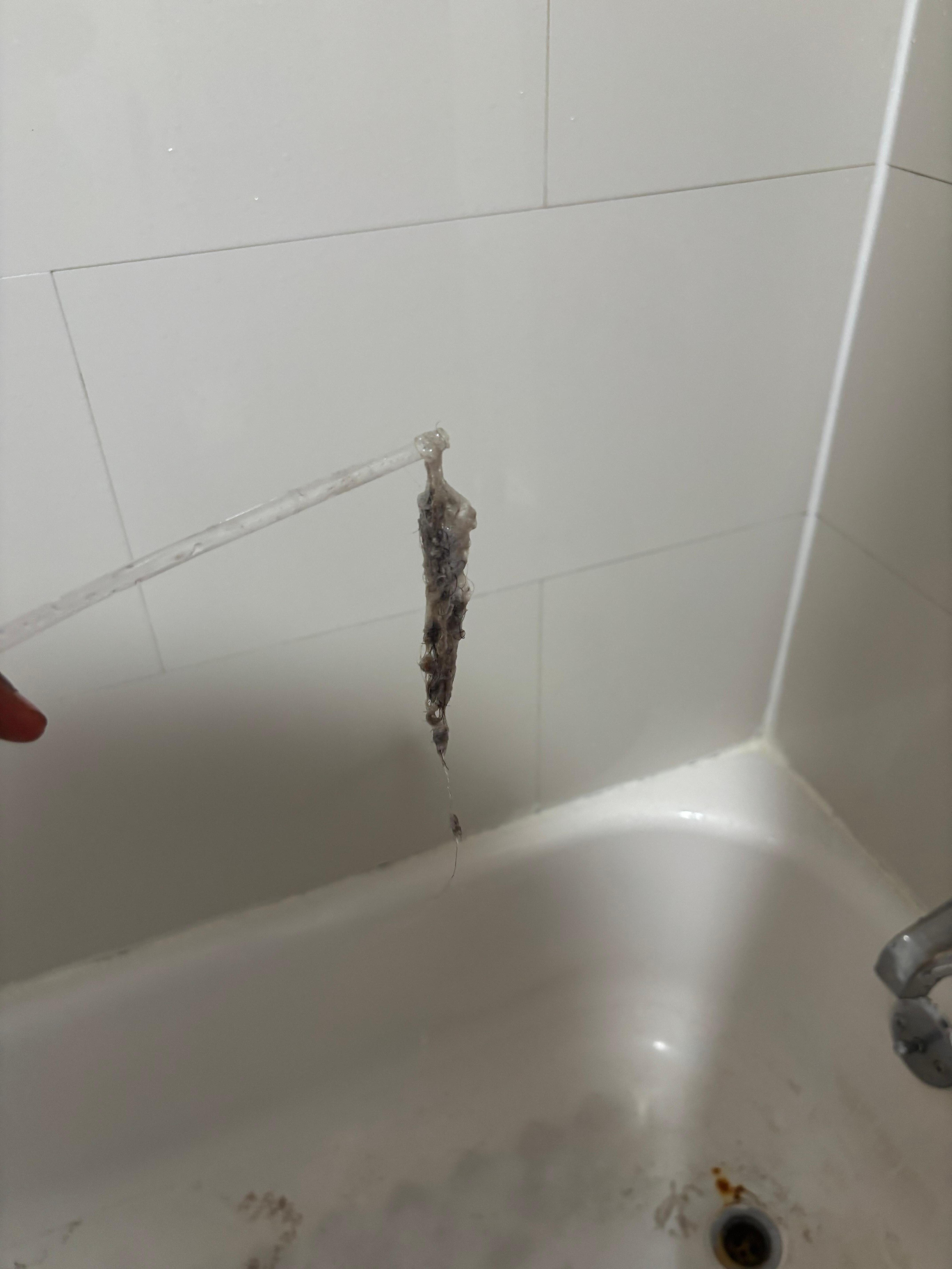 The shower with hair clogged from previous guests. Tub would not drain.