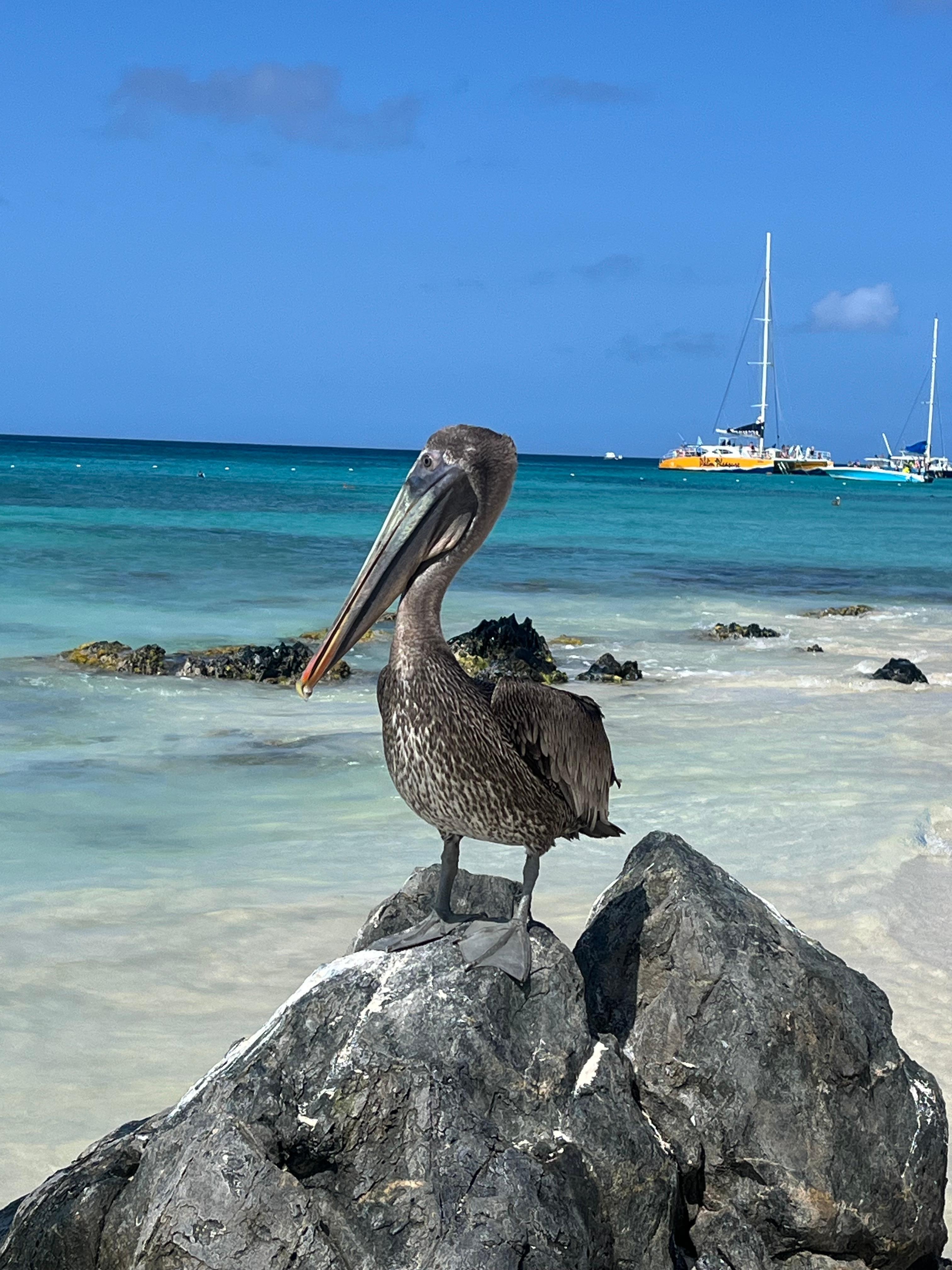 Beach just steps away