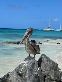 Beach just steps away