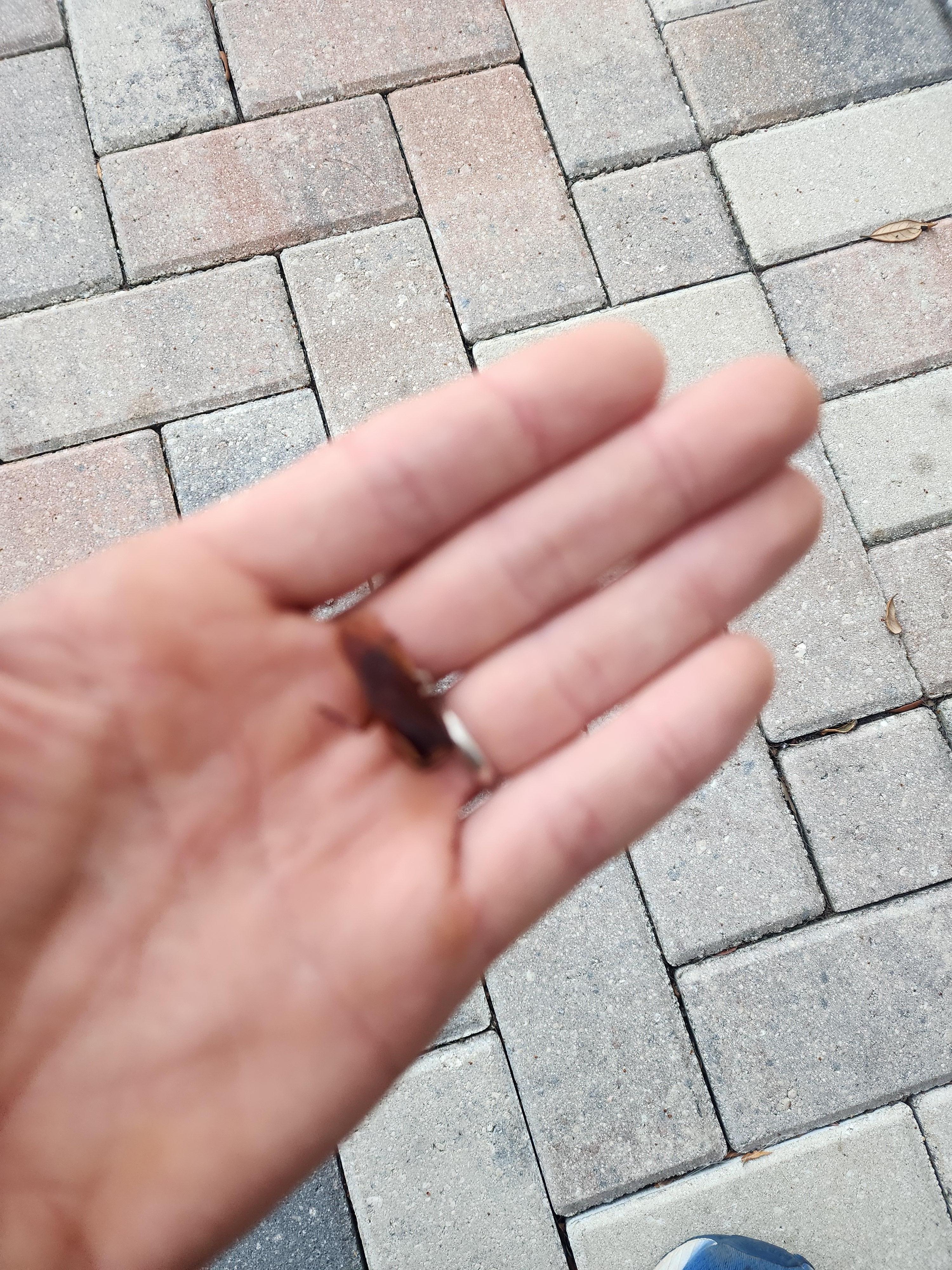 Found on floor alive