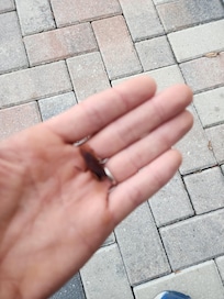 Found on floor alive