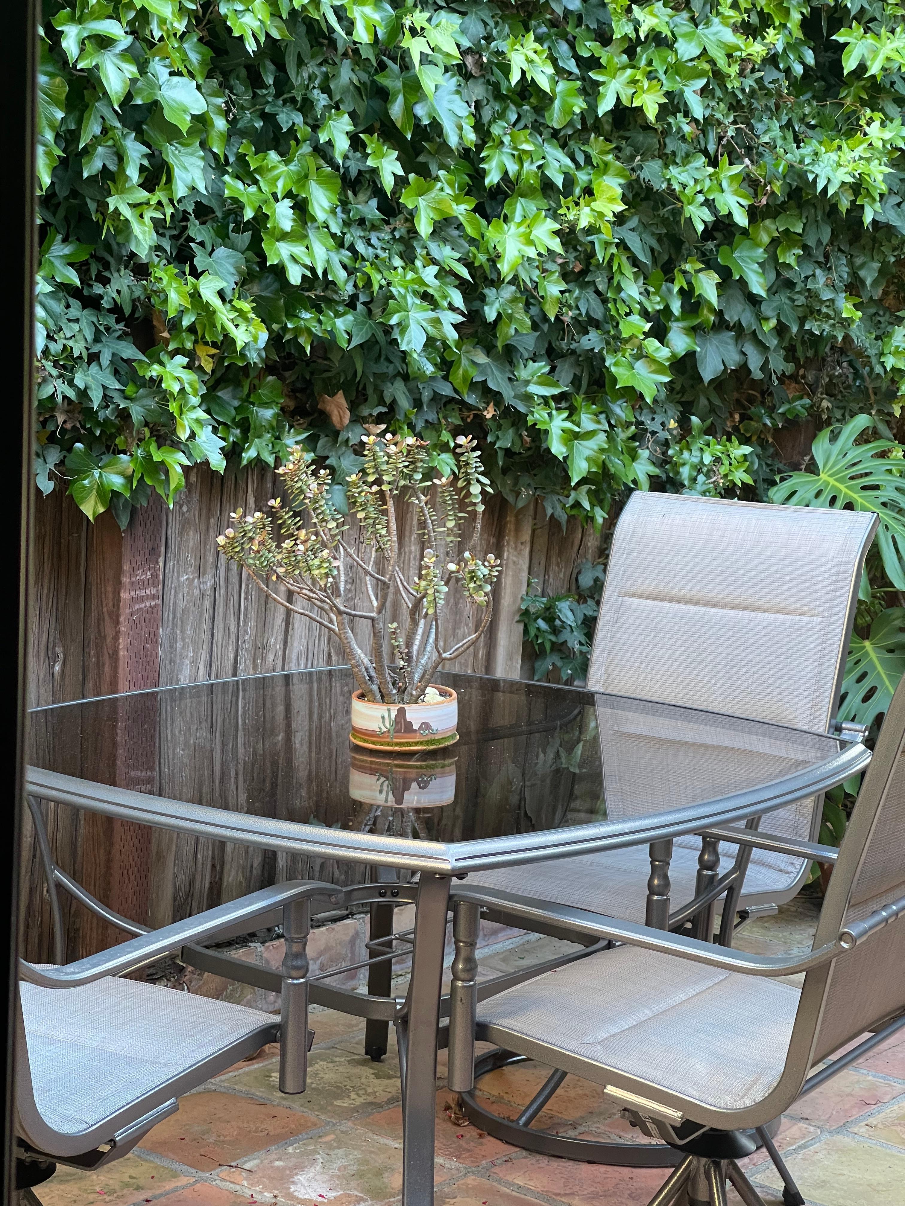 My morning tea spot in the Courtyard